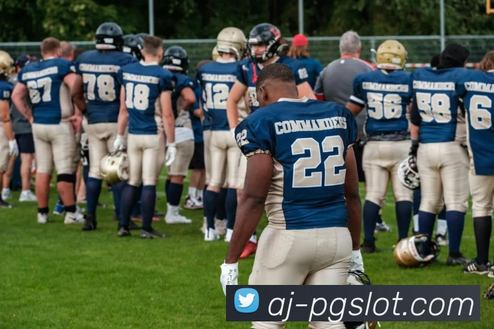 PG模拟器官网APP 体育赛事宣传图